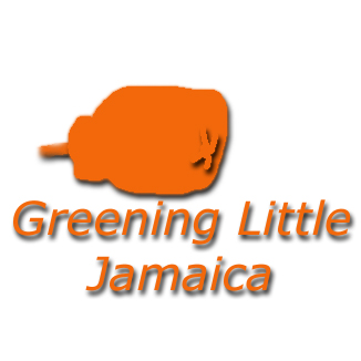 Click here to learn more about our charity, Greening Little Jamaica.